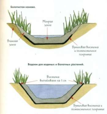 Как создать лужайку на даче