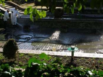 Чистая вода в садовом пруду