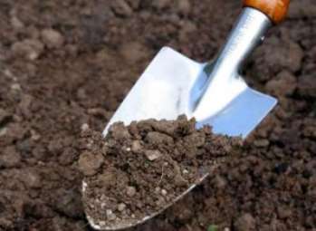 Уход за почвой или как сделать почву плодородной