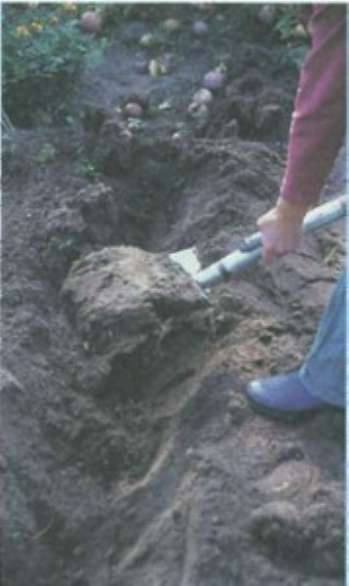 Уход за почвой или как сделать почву плодородной