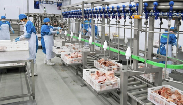 pticefabriku-za-1128-mln-postrojat-v-kostanajskoj-oblasti-f880e82