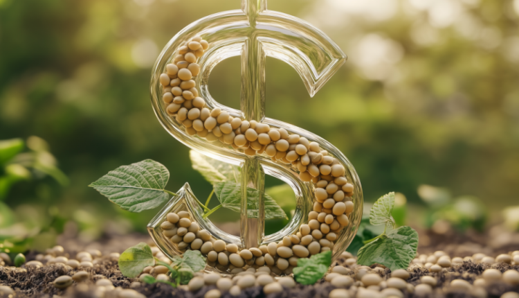kakie-produkty-mozhno-kupit-za-odin-dollar-v-kazahstane-49a3d08