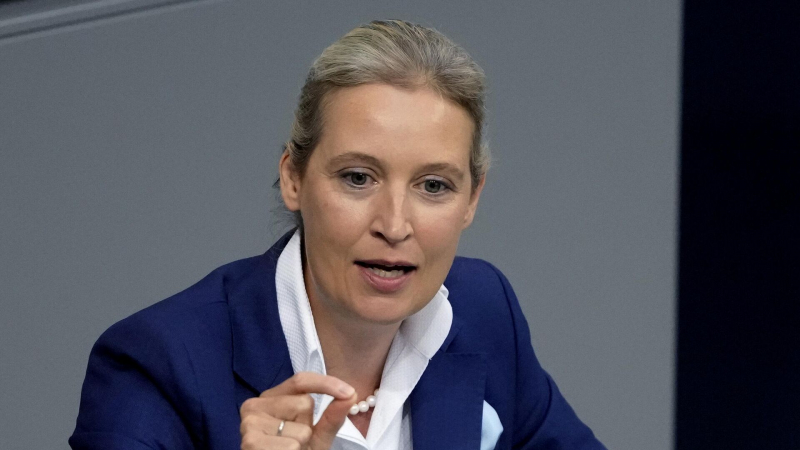 Кандидат в канцлеры ФРГ Вайдель заявила, что хочет мира на Украине