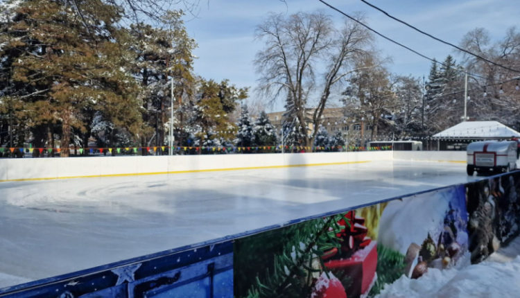 nazvany-adresa-12-besplatnyh-katkov-v-almaty-373b41e