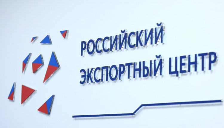 rec-napravil-79-trln-rub-na-podderzhku-otechestvennyh-kompanij-d6e7f88