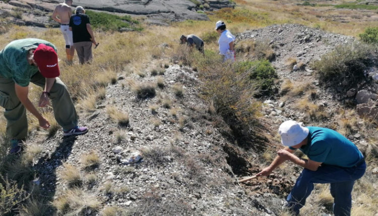 vsjo-dlja-udobstva-inostrannogo-kapitala-kazahstan-ocifrovyvaet-geologicheskie-dannye-e4799c3