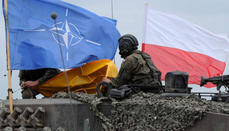 vvod-vojsk-nato-na-ukrainu-obernulsja-by-dlja-nee-krahom-zajavili-v-krymu-3048220